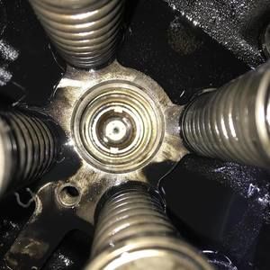 Meet your Posher, Bubba